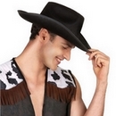 Chapeau de cowboy noir adulte