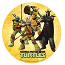 Disque azyme 20 cm Tortues Ninja & Shredder™