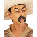 Masque bandit mexicain adulte