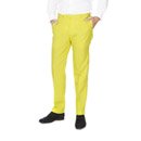 Costume Mr. Jaune homme Opposuits